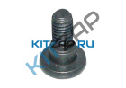 ���� �������� ���������